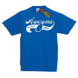 Awesome Since 2004 T-shirt