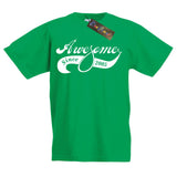 Awesome Since 2005 Fun T-Shirt