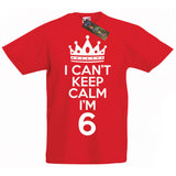 I Can't Keep Calm I'm 6 Birthday T-Shirt