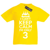 I Can't Keep Calm I'm Only 3 Fun Birthday T-Shirt